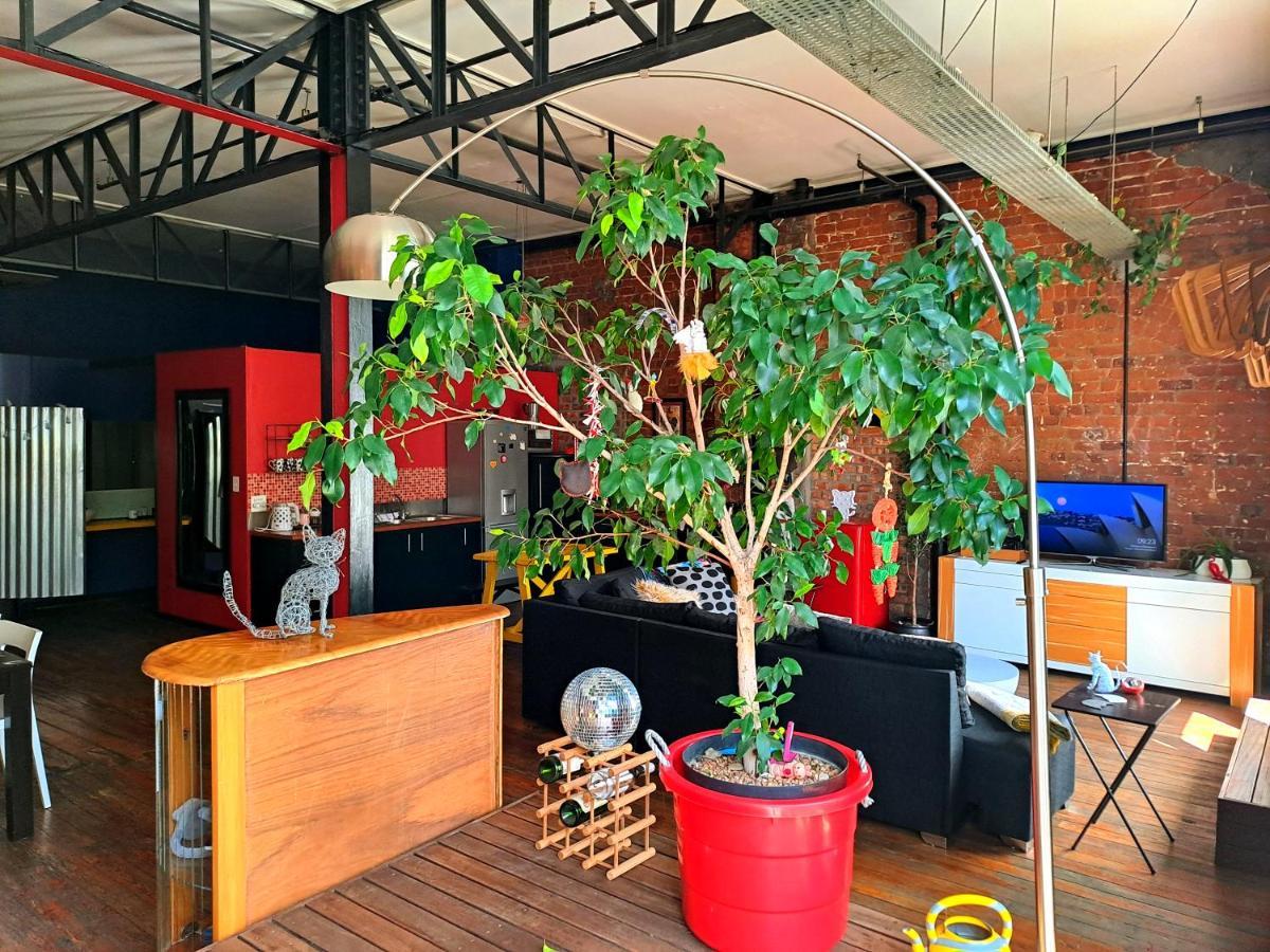 Pet-Friendly City Loft Apartment كيب تاون المظهر الخارجي الصورة